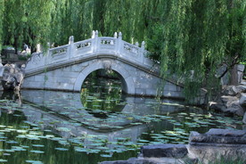大观园风景
