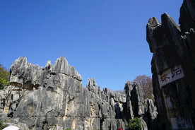 云南 石林 景色