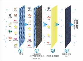 矢量RO反渗透过滤工艺