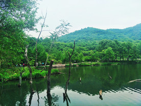 玉渡山风景