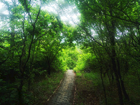 玉渡山风景