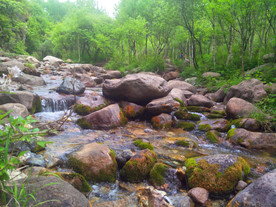 玉渡山风景