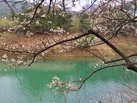 苏州西山美景