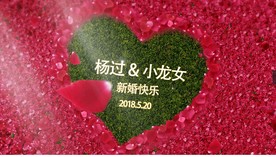 婚礼片头AE模板
