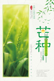 芒种