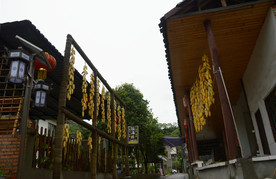 洪雅之行（柳江）