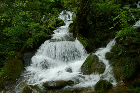 洪雅之行（瓦屋山）