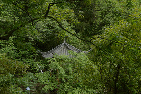洪雅之行（瓦屋山）