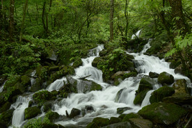 洪雅之行（瓦屋山）