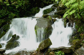 洪雅之行（瓦屋山）