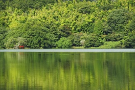 依山傍水