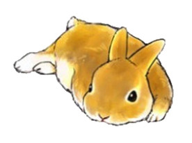 卡通兔子   兔子   卡通