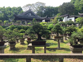 林园风景