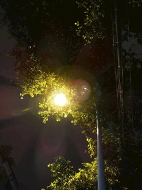 午夜路灯下