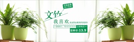绿植盆栽轮播图