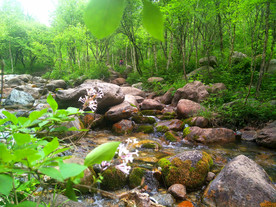 玉渡山风景