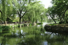 圆明园风景