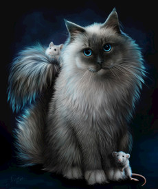 猫 小猫 可爱猫咪 可爱猫 宠