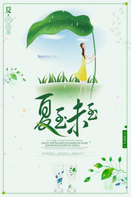 夏至未至 夏日荷叶图