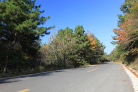 户外道路风景