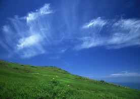 高山草场
