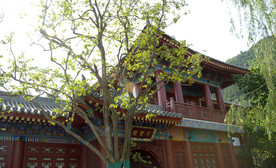 西安之行（华清宫）