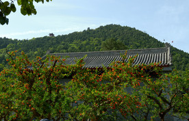 西安之行（华清宫）