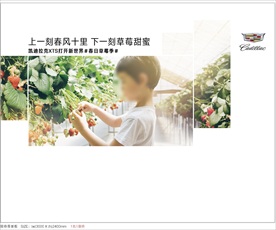 凯迪拉克春日草莓季