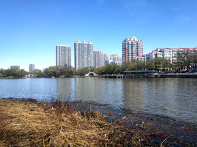 龙沙公园看高楼林立