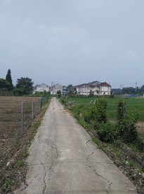 农村风景