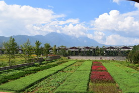 电脑高清 自然风光 风景壁纸