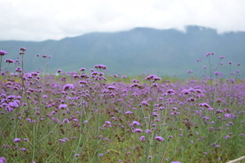 电脑高清 自然风光 风景壁纸