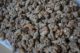 云南满泽三七田七30头图片