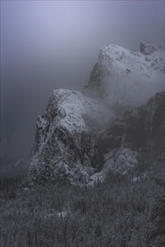 冬季雪景