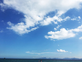 海天