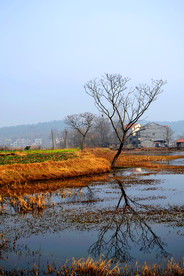 乡村风光 乡村美景 乡村风