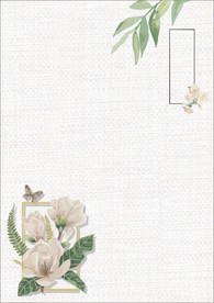 信纸