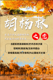 额济纳旗旅游海报