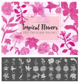 夏日主题的花卉图案