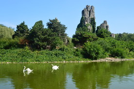 动物园风景
