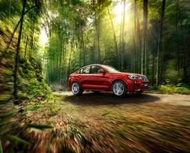 进口 宝马 BMW X4