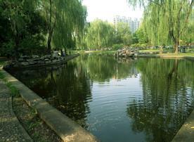 公园人工湖