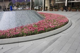 景观水景