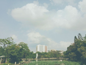 校园风景