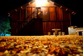 木屋下的银杏叶