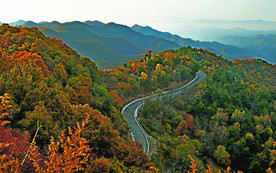 高山风光