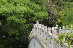 拱桥 文艺照 旅游