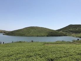 嵛山岛