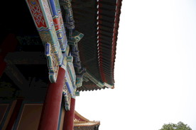 楼宇