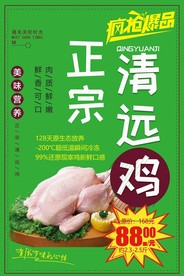 清远鸡海报